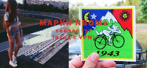 гашик Арсеньев