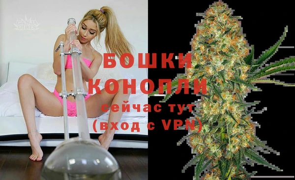 гашик Арсеньев