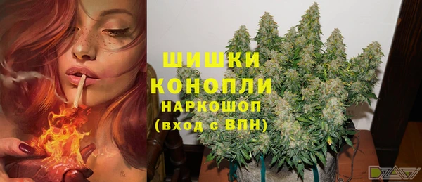 СК Аркадак