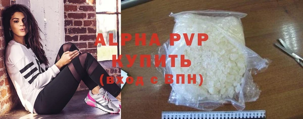 твердый Козельск